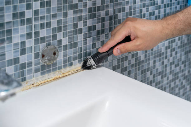 Certified Mold Removal in Littlestown, PA